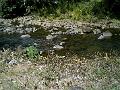 28 - Jardin des eaux 012